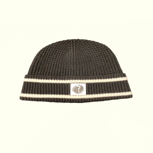 The Spectrum Beanie